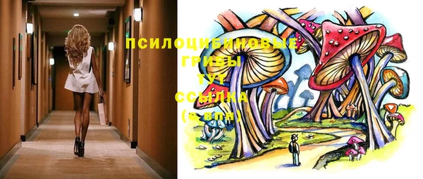 стафф Магас