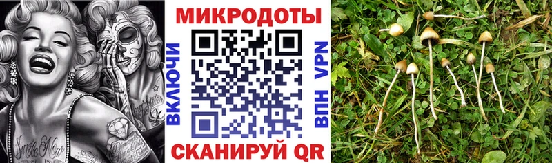 Псилоцибиновые грибы Magic Shrooms  купить наркотики цена  Емва 