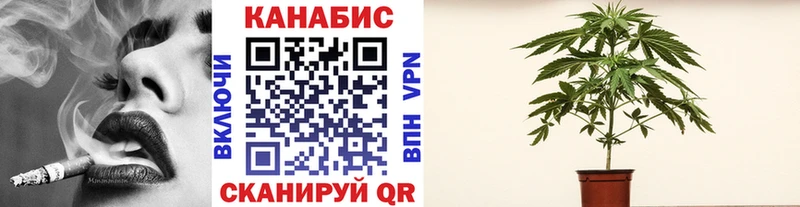 Бошки марихуана Bruce Banner  наркота  Емва 